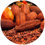ekstrakt-plodov-kakao